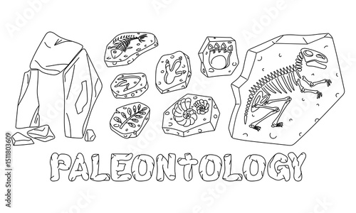 set of fossils with the inscription Paleontology in doodle monochrome. Dinosaur footprints, fish bones, tyrannosaurus skeleton, plants and shells. for scientific posters, books, articles materials.