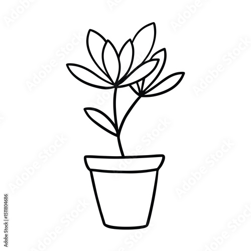 hand drawn plum tree with pot