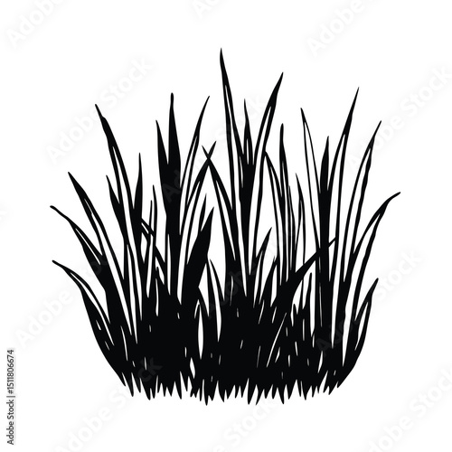 hand drawn vector grass field grunge texture brush