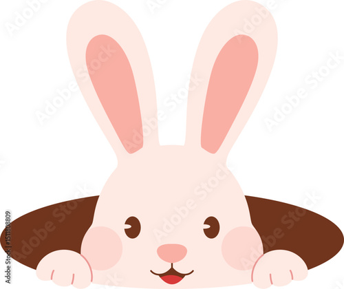 Bunny Peeking from Hole with a Smile