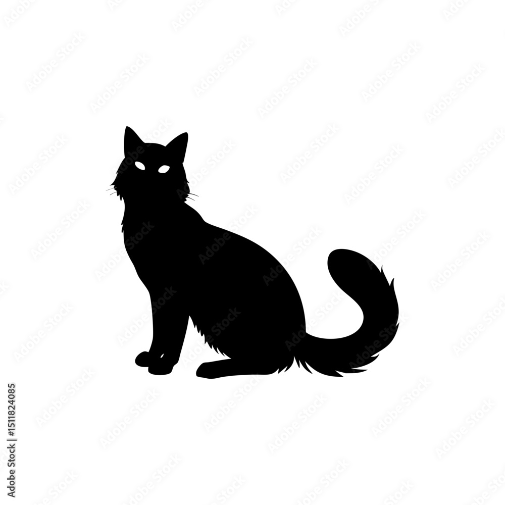 Obraz premium Turkish Angora Cat Silhouette Isolated on Transparent Background
