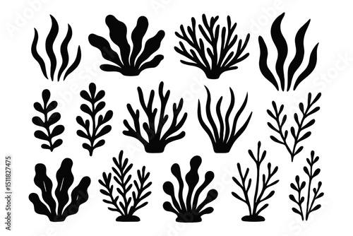 Silhouette seaweed collection on brown background