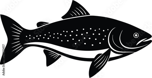 atlantic salmon illustration on white background  .eps