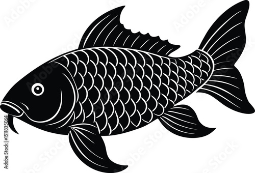 common carp illustration on white background  