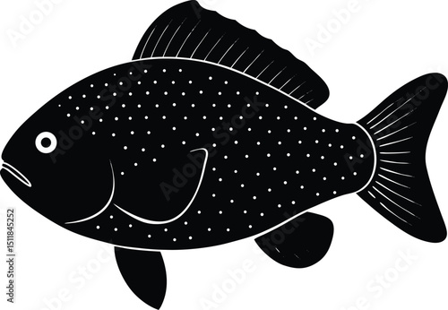 tilapia illustration on white background  laterall.eps
