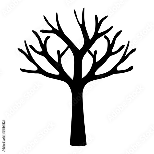 Silhouette of a bare tree with intricate branches and a stout trunk