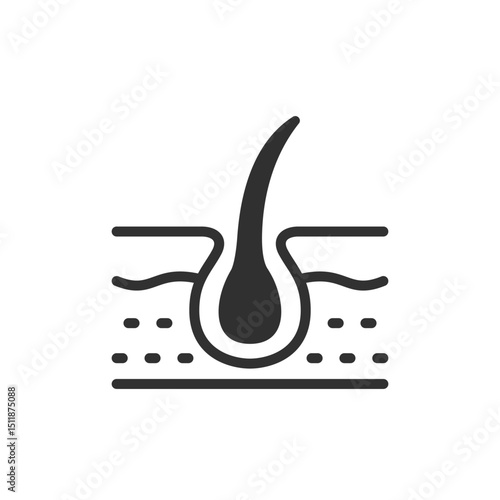 Hair follicle, linear icon. Root structure and hair growth. Line with editable stroke.