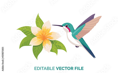 Hummingbird Visiting Flower Editable Vector File, Vibrant Tropical Bird Illustration, Digital Nature Graphic for Design Projects