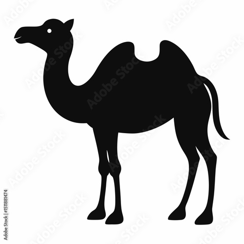 camel cartoon illustration