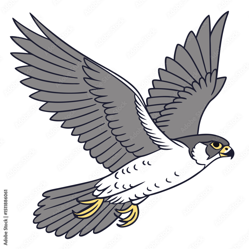 Obraz premium eagle vector design