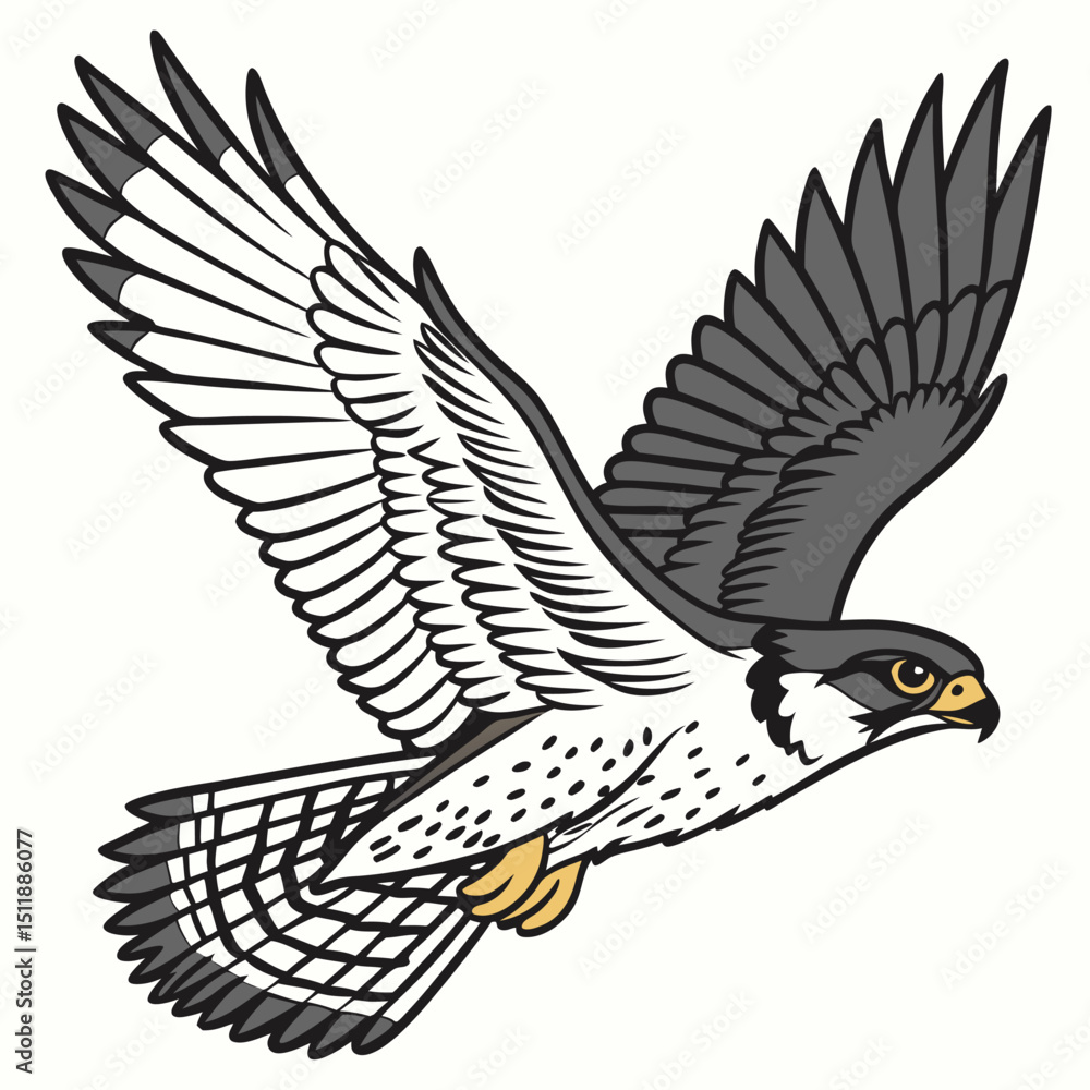 Obraz premium eagle vector design