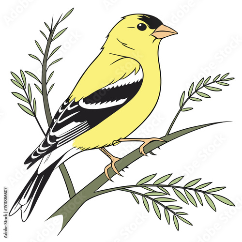 American Goldfinch Small, bright yellow bird state bird of New Jersey, Iowa, and Washington