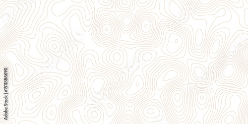 Topographic map lines, contour background, Vector contour topographic map background.