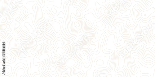 Topographic map lines, contour background, Vector contour topographic map background.