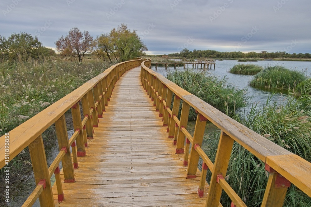 Fototapeta premium The wooden walkways of Tablas de Daimiel in Ciudad Real in Spain