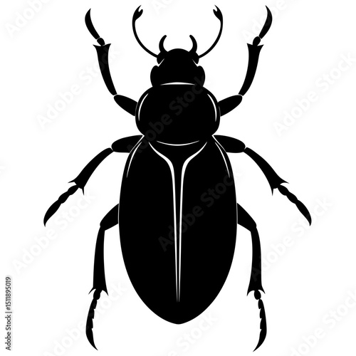 stag beetle vector illustration