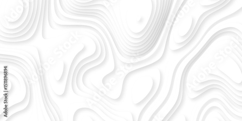 Abstract white paper cut background with lines. Background of the topographic map. White wave paper curved reliefs abstract background. Realistic papercut decoration textured with wavy layers.	
