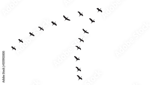 Silhouette of birds flying in a flock in an orderly row in the sky, isolated background, vector illustration.