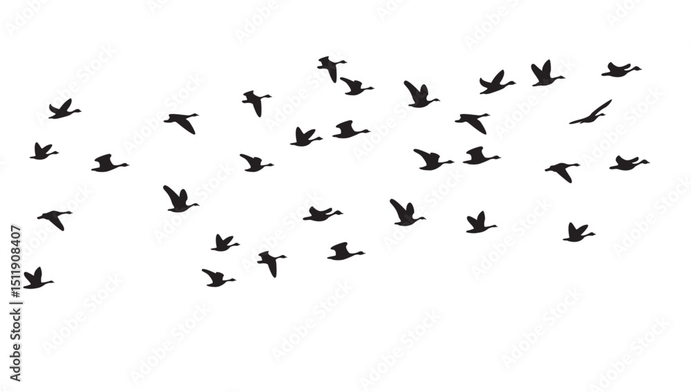 Silhouette of a bird flying on the sky, isolated background, vector illustration. Silhouette of a bird flying on the sky, isolated background, vector illustration.