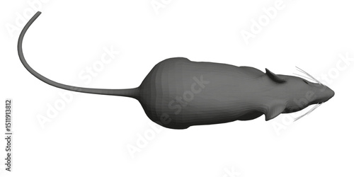 Rat is shown in a black and white illustration. Rat is laying on its side and he is in relaxed state. Illustration is simple and straightforward, with no additional elements or distractions. Top view