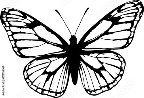 Crisp black and white line art of a butterfly with intricate wing patterns and a bold body, perfect for elegant graphic designs, educational materials, or nature-inspired artwork.