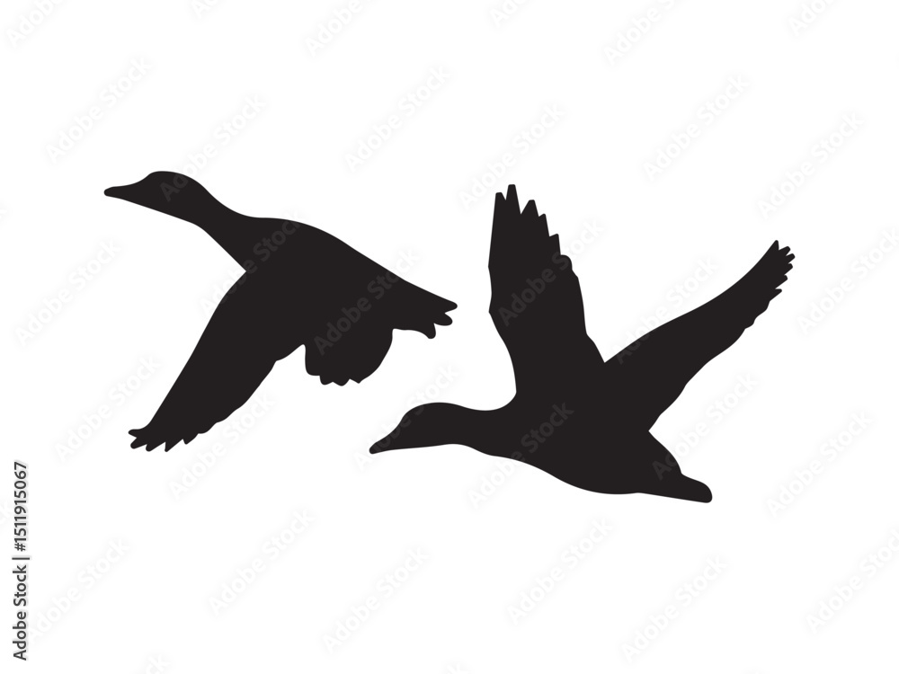 Obraz premium vector illustration of a flying seagull, flying seagull sillhouette vector illustration art