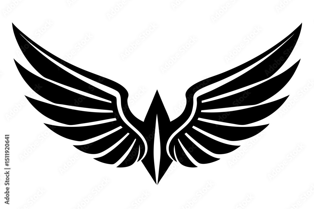 Obraz premium wings silhouette