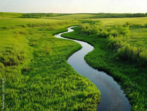 Winding River with Green Meadow Landscape.
