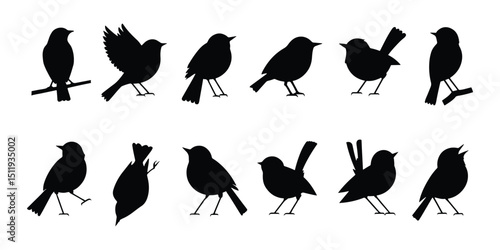 Collection of Black Bird Vector Silhouettes
