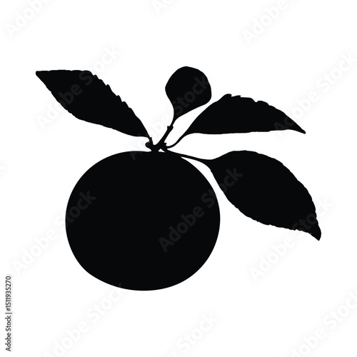 Orange fruit with leaves silhouette