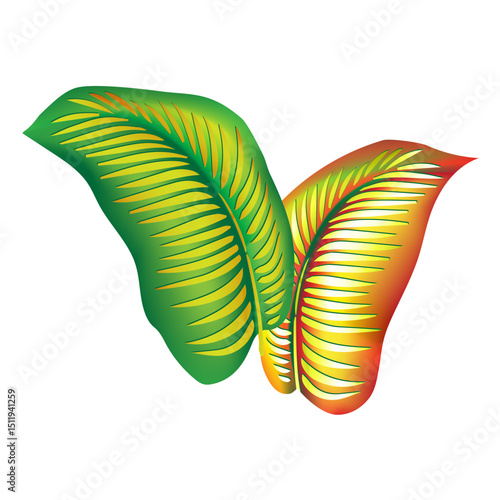 jungle flower,leaves  tropic set. isolated elements. Palm leaf, monstera, pink plumeria flower,hibiscus blossom, exotic tropical summer flowers and leaves.
