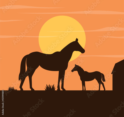 Landscape silhouette with horse, foal and barn against sky and sun. Farm, agriculture. Sunset. 