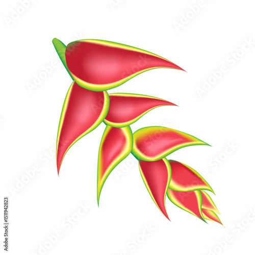 jungle flower,leaves  tropic set. isolated elements. Palm leaf, monstera, pink plumeria flower,hibiscus blossom, exotic tropical summer flowers and leaves.