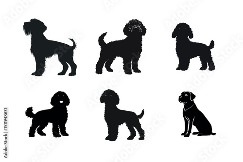 Six dog breed silhouettes poodles schnauzer and labrador