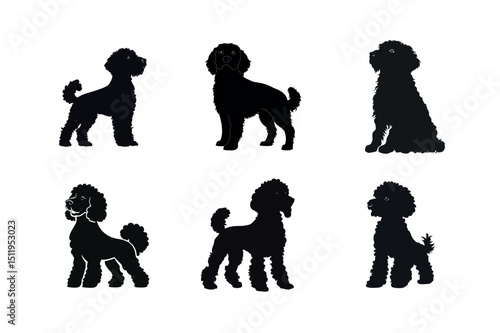 Six black poodle silhouettes in different poses