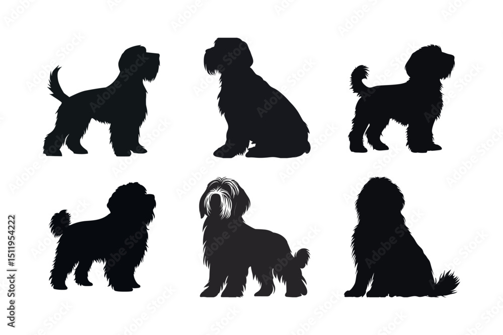 Naklejka premium Six silhouettes of fluffy dog breeds