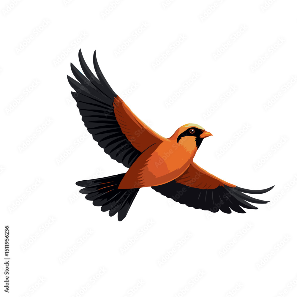 Fototapeta premium Rufous Hornero illustration