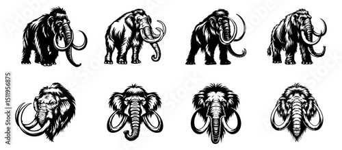 set of mammoth elephant vector illustrations
