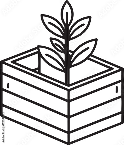 plant growing from a wooden crate line art, black outline, vector and illustration, coloring book page line art drawing