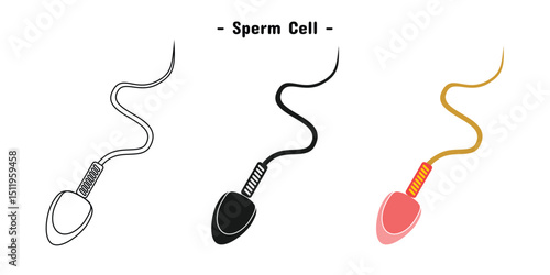 sperm cell design, in outline, black and color, editable vector eps 10.