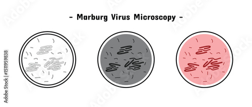 microscopic marburg virus, available in three variants, medical and health, infection and contagious, editable vector eps 10.