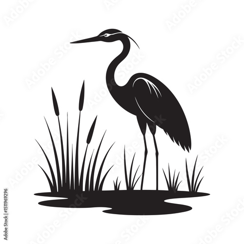 Heron Standing Still In Shallow Swamp