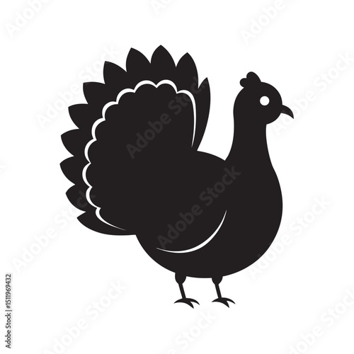 Turkey Displaying Fully Puffed Tail Feathers