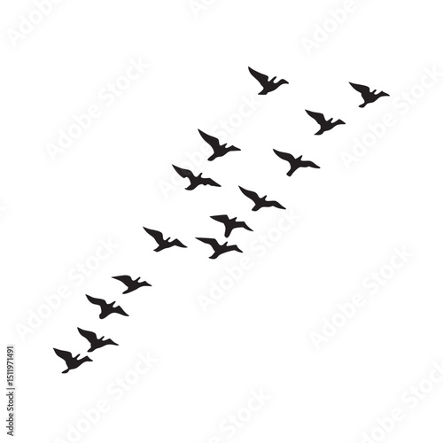 Flock Of Birds Flying In Formation