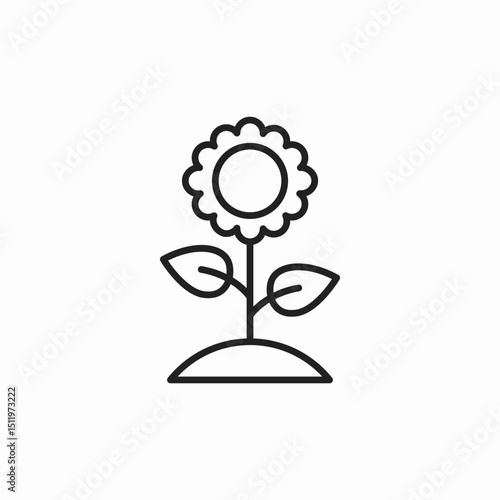 sunflower plant icon sign vector