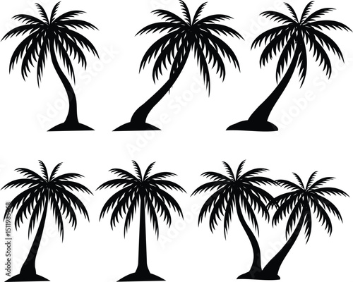 palm trees silhouettes