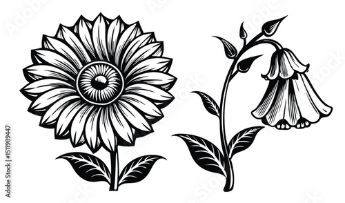 Black and white floral illustration with bellflower and daisy