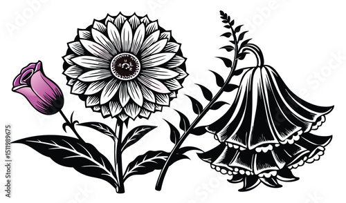 Black and white floral illustration gerbera and bellflower
