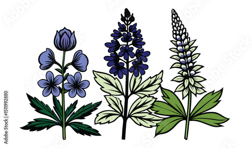 Three types of blue and green flowers illustration