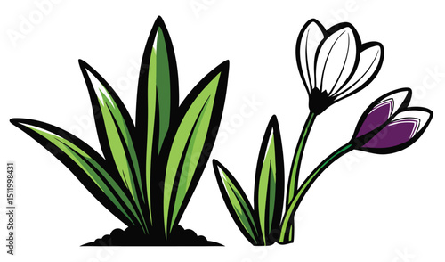 Spring crocus and snowdrop flowers illustration